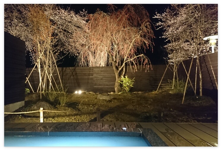 悠湯の郷ゆさの露天風呂から見るライトアップされた桜