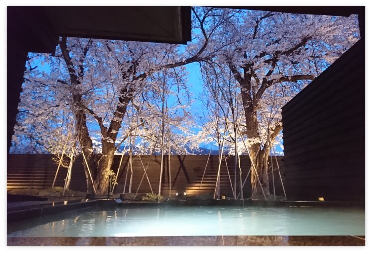 悠湯の郷ゆさ「深秋」の露天風呂から見るライトアップされた桜