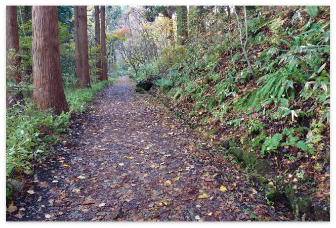 函館山の旧登山道コース