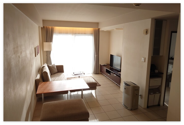 D-ツインのテレビとソファ