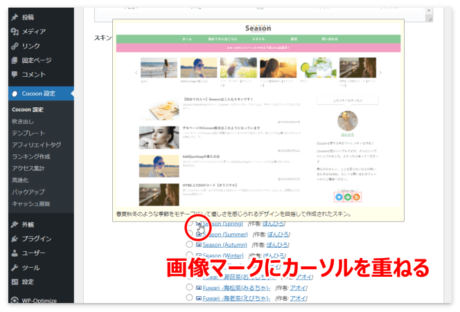 スキンのデザインを確認する方法（Cocoon）
