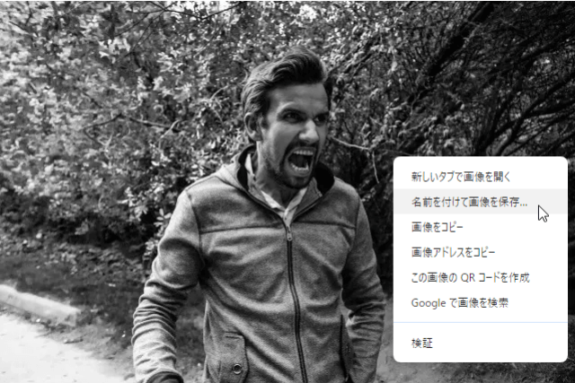 WebPで配信されているか確認する