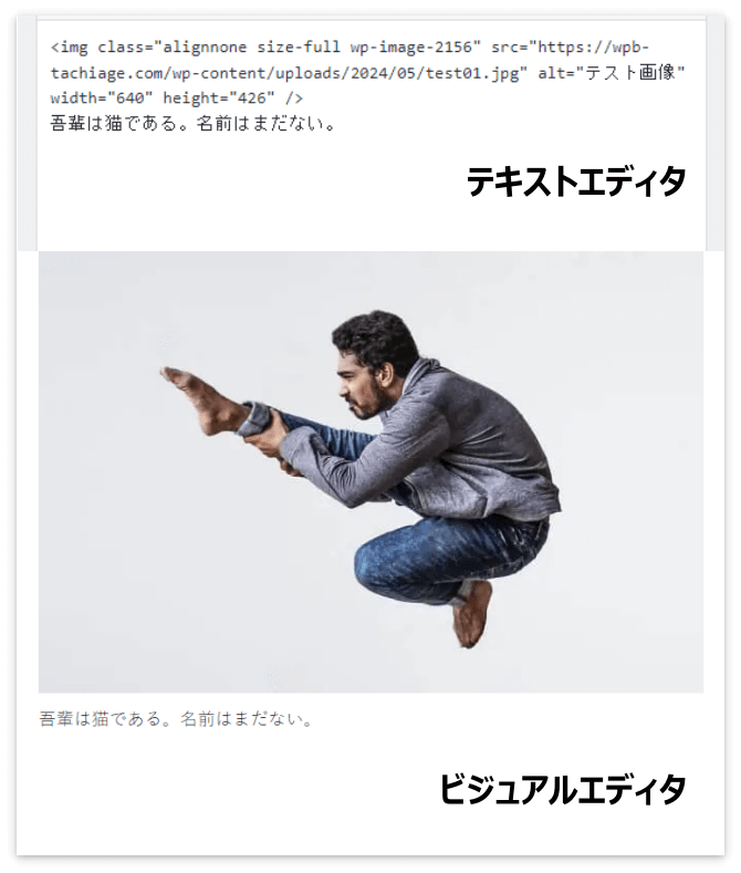 画像の下に余白を作る前のテキストエディタとビジュアルエディタ