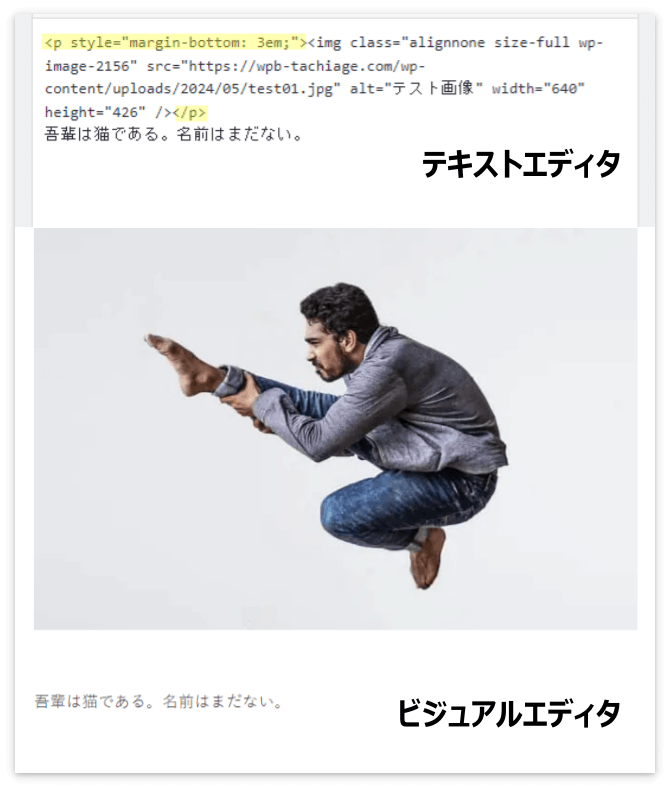 画像の下に余白を作った後のテキストエディタとビジュアルエディタ