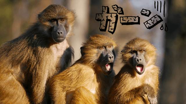 文字の中も透過させた画像を合成