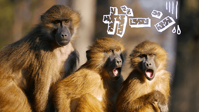 背景を透過させた画像の色を白に変更